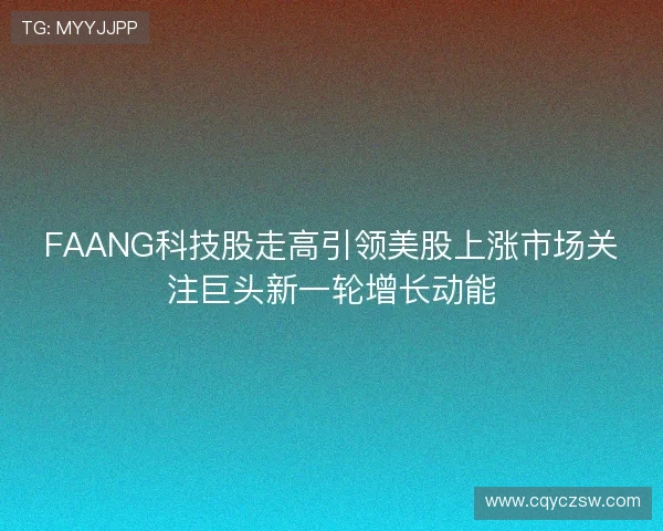 FAANG科技股走高引领美股上涨市场关注巨头新一轮增长动能